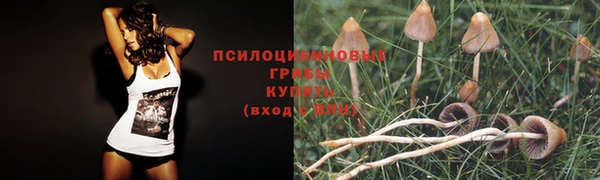 гашик Верхнеуральск