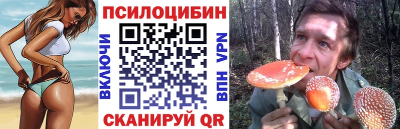 Псилоцибиновые грибы Psilocybe сайты даркнета клад Ангарск где купить наркоту